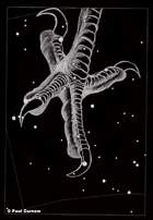 Stars and Planets