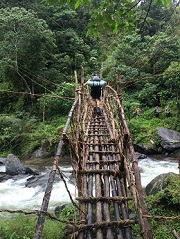 Veterans walking the Kokoda Track