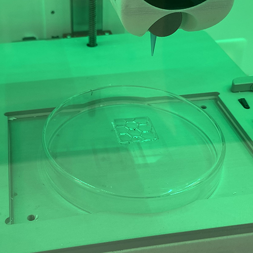 3D printed gel patch with chemotherapy drugs