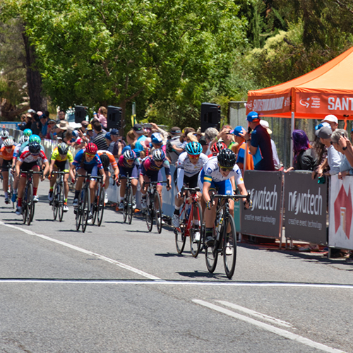 Cyclists at the Tour Down Under 