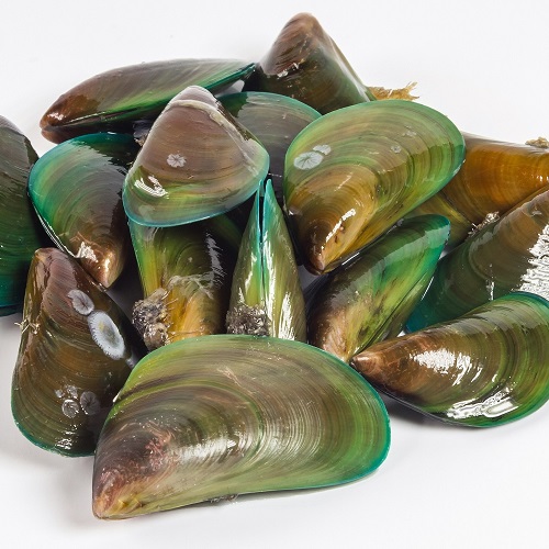 mussels_500x500.jpg