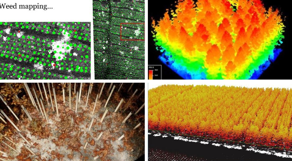 Forest Research_Dense Data_LiDar