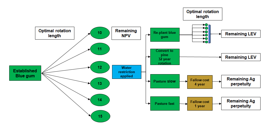 hardwood reposnse to water restrictions model.png