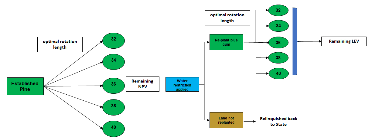 softwood industry response water restriction model.png