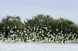 The next Successful Ageing Seminar will look at the Murray-Darling Basin Plan