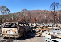 The aftermath of a bush fire. 