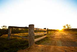 Rural scene