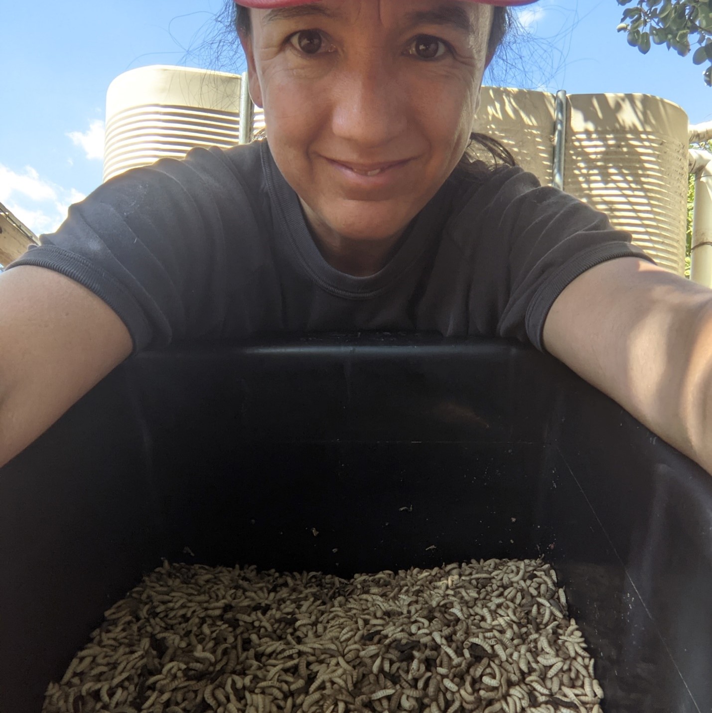 Jeannine holding a tub of Black Soldier Fly Larvae