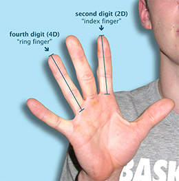 Digit ratio