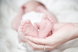 Tiny baby in incubator