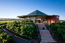 Hugh Hamilton cellar door