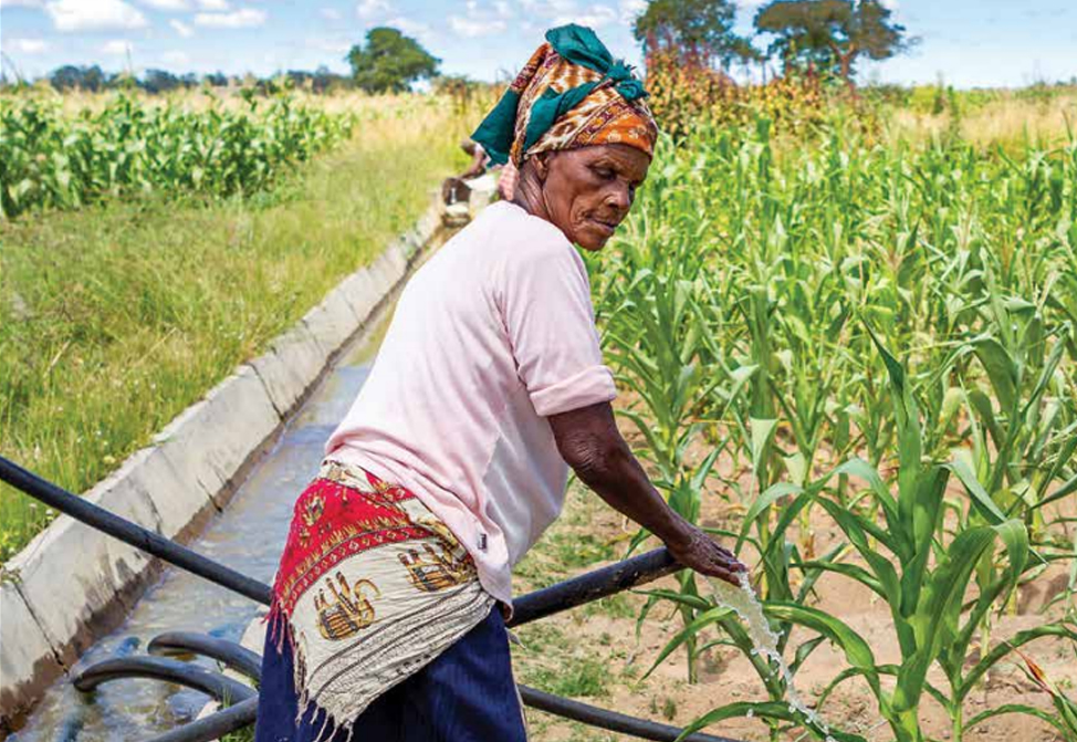 African woman working on a farm