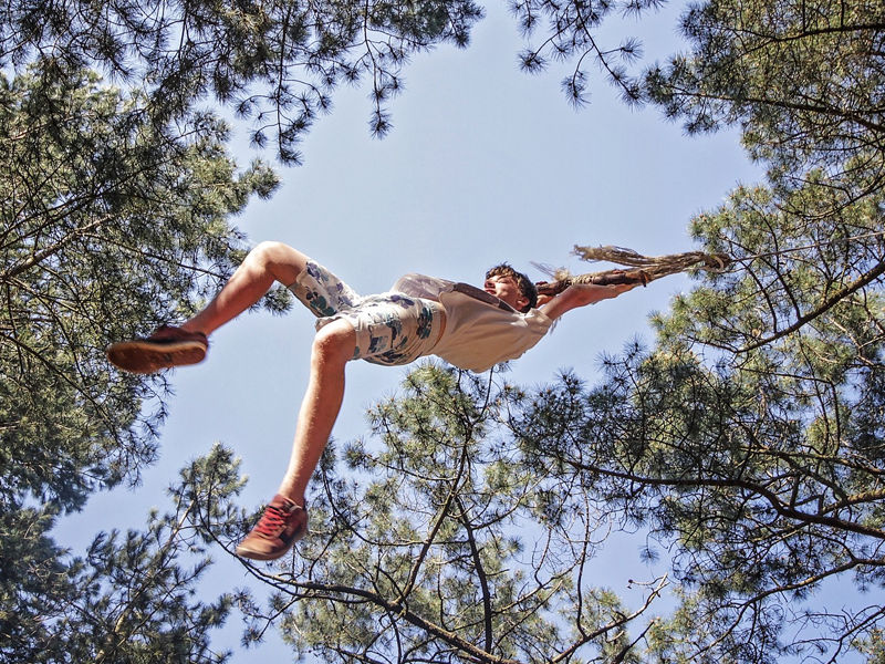 Boy swinging from a rope in the tree canopy