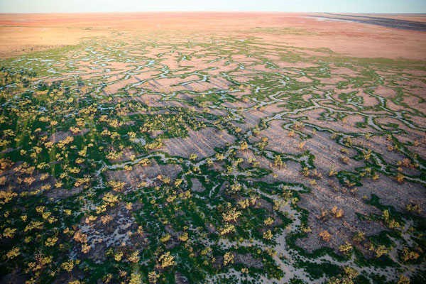 Image: The stunning Australian landscape on which OBE Organics calls home