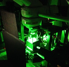 Raman microscope with total internal reflection light delivery for mineral and chemical analysis of interfaces 