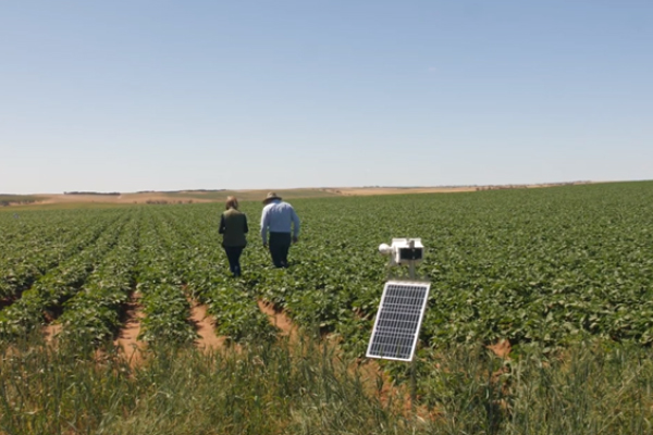 people in a field