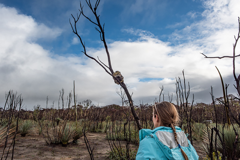 Assoc Prof Topa Petit on Kangaroo Island.