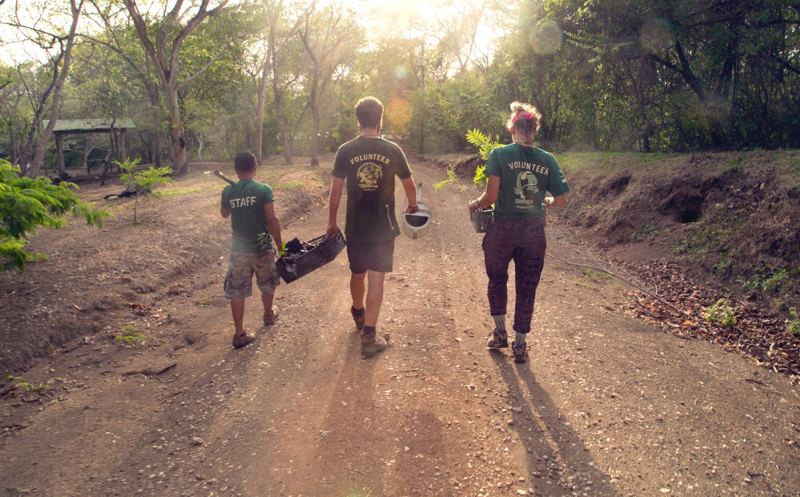 Volunteers walking into the sunset