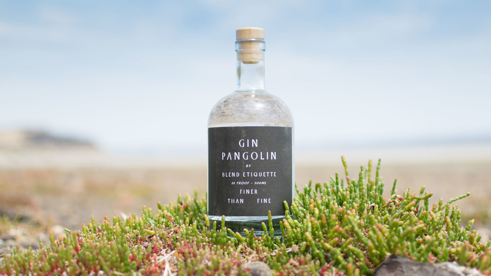 Bottle of Pangolin Gin by Blend Etiquette