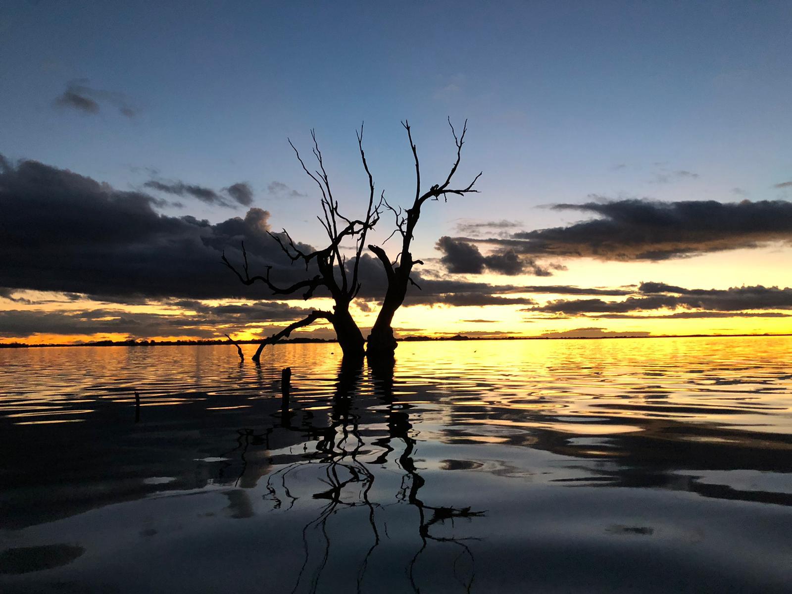 First Place - Kate O'Leary