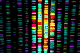 illustration of gene sequence