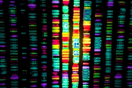 illustration of gene sequence