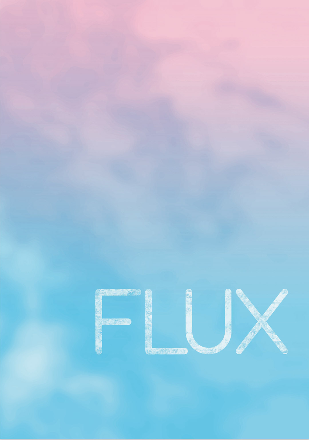 Flux-Branding-resize.jpg