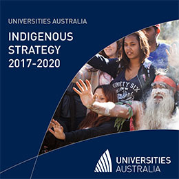 Indigenous Strategy brochure cover