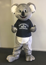UniSA's Koala Mascot