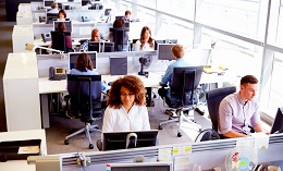 Office workers sitting at their desks