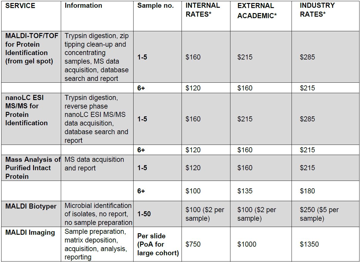 MSP Pricing Structure Main Services