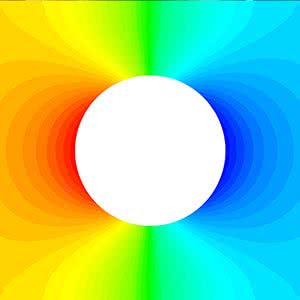 A Butterfly in Microchannel by Dr Moein Kashani