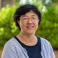 Professor Lin Liu