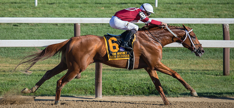 A racehorse galloping