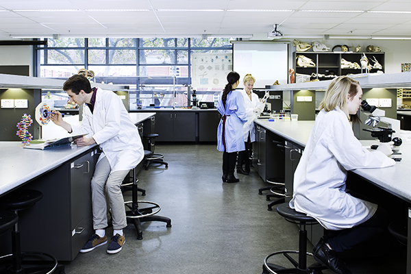 Researchers in a lab