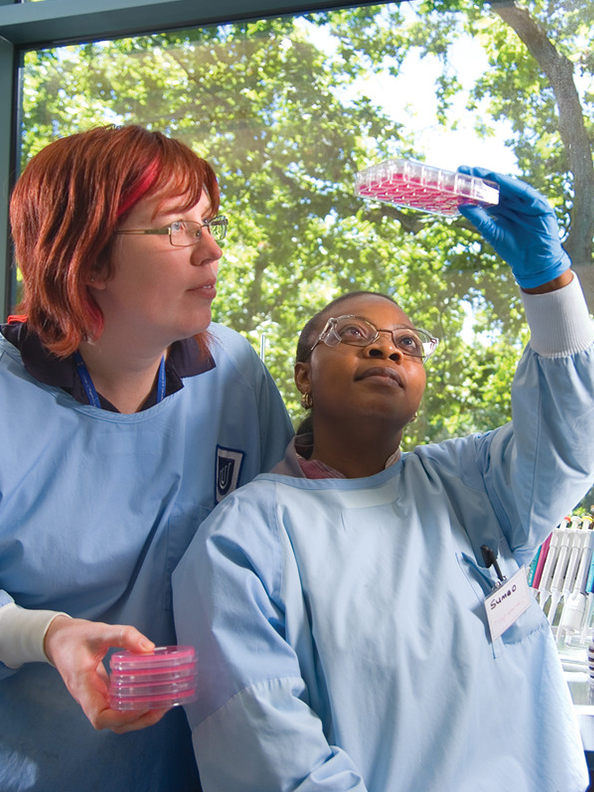 Two researchers in lab coats examining test samples