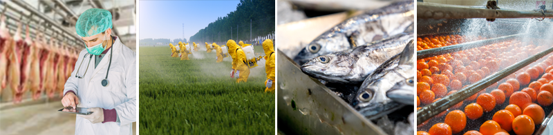Agriculture images representing biosecurity, circular economy, aquaculture and horticulture.