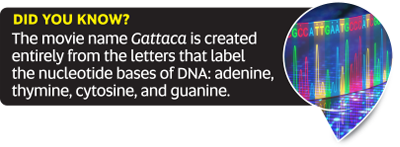 Did You Know fact: The movie name Gattaca is created entirely from the letters that label the nucleotide bases of DNA: adenine, thymine, cytosine, and guanine.