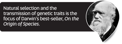 Did You Know fact: Natural selection and the transmission of genetic traits is the focus of Darwin’s best-seller, On the Origin of Species.