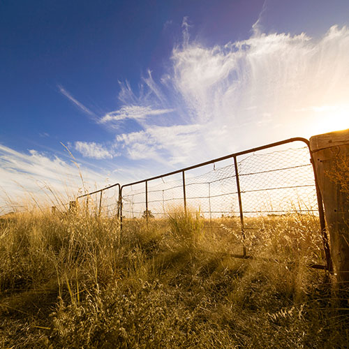 Australian farm roadside shutterstock_382167142_web.jpg