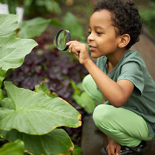 child in garden - shutterstock_1841045359_web.jpg