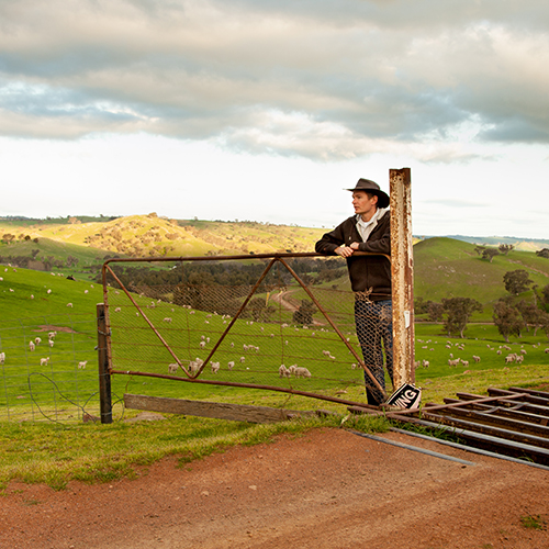 Farmer looking over a green field