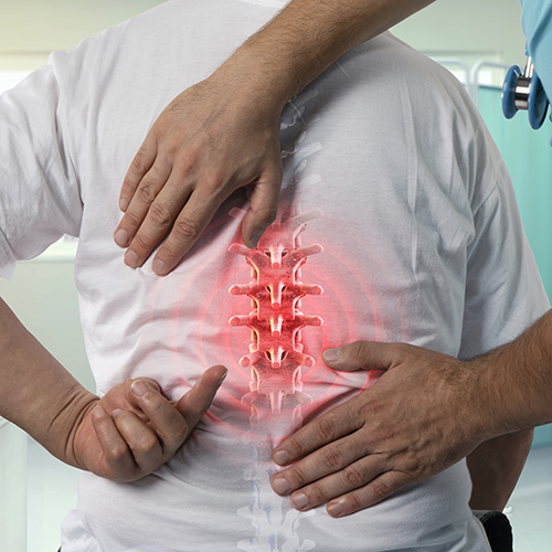 back pain shown on spine in red