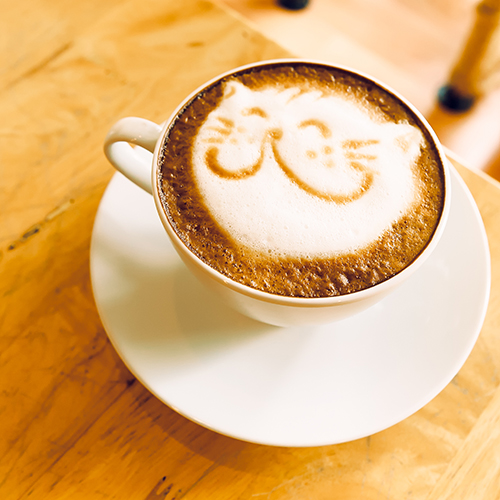 coffee_cat_shutterstock_340753520.jpg