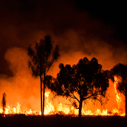 bushfire - shutterstock_1437869741_web.jpg