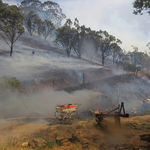 Cudlee Creek Fire_500x500.jpg