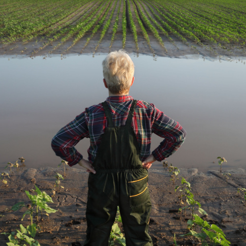 Farmers and floods_500x500.jpg