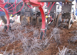 Seeding machine