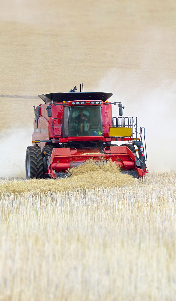 Harvesting machine in field