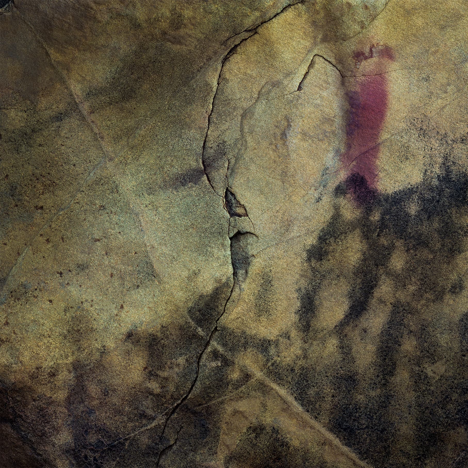 still-lives_2_christopher_houghton_silver-gelatin-negative_ink-on-paper_16ocm-x110cm_2021.jpg